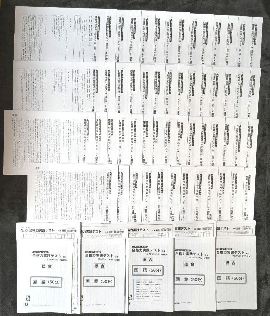 【新品】 日能研 2025年度 6年生 テスト 1年分 フルセット 書き込み無し