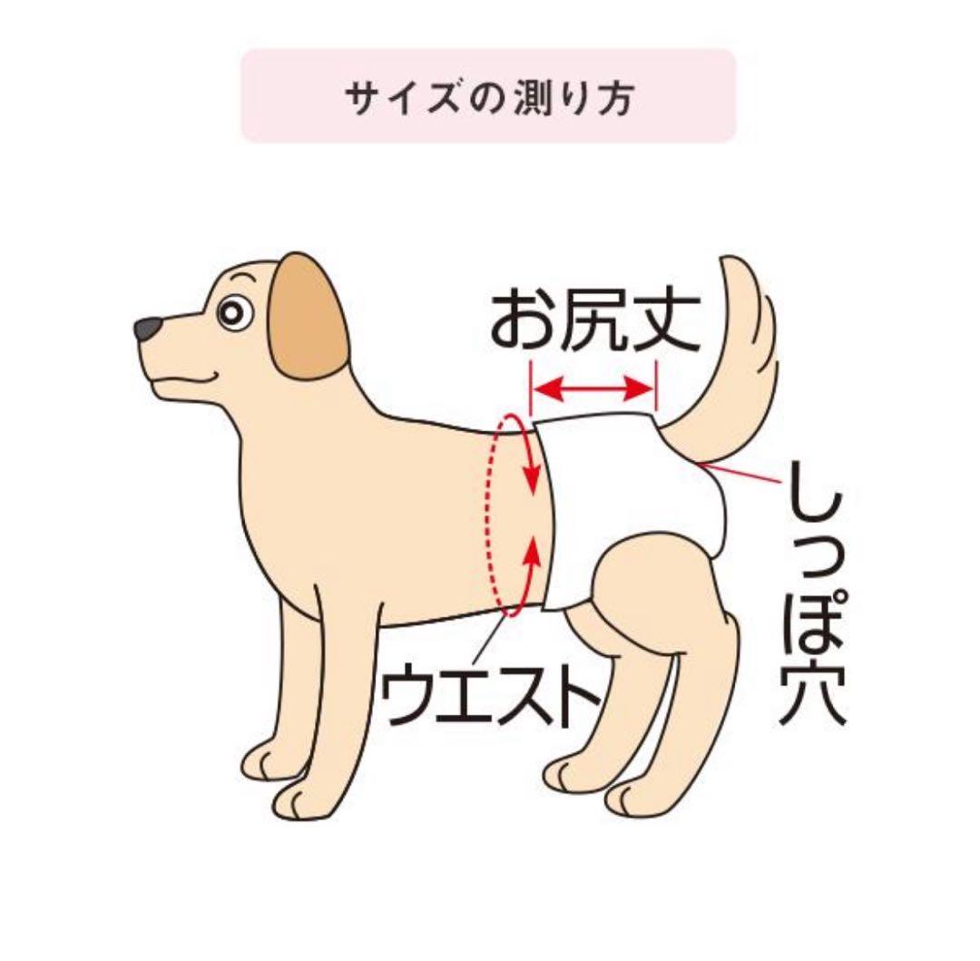 うんぽパンツ Mサイズ 未開封32枚＋開封済19枚 犬用オムツ 老犬介護
