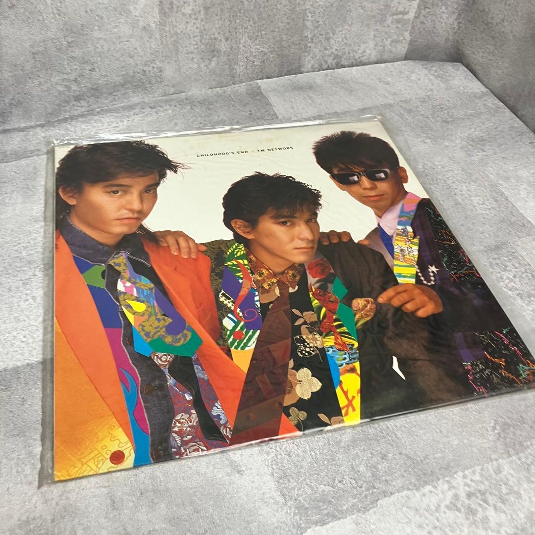TM NETWORK レコード　LP まとめ売り　5枚