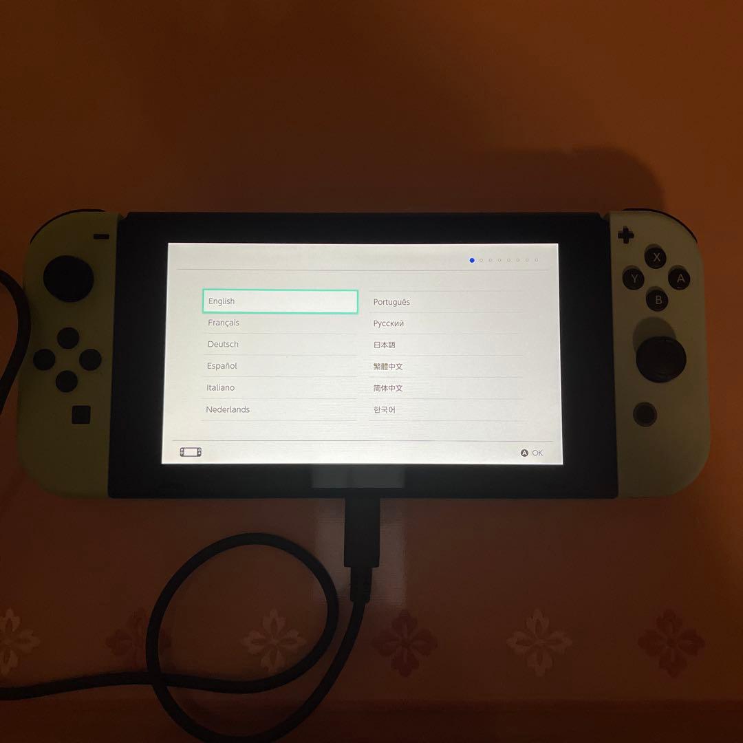 Nintendo Switch 本体 動物の森テーマ