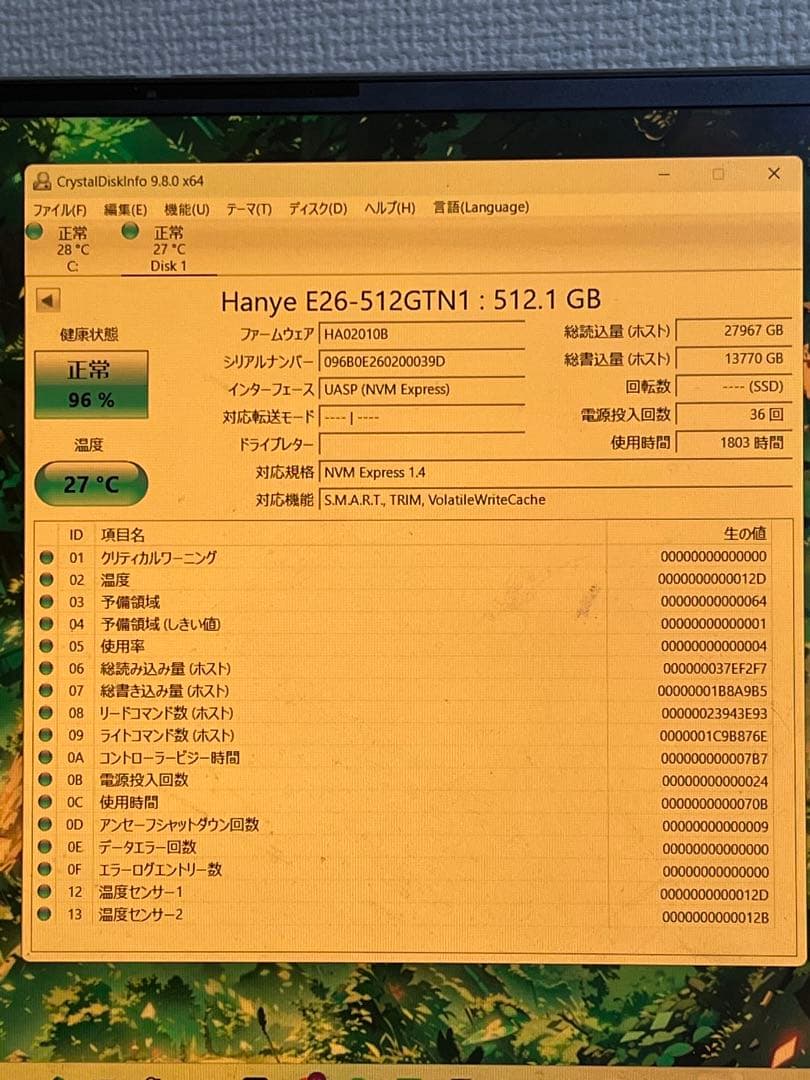内蔵型SSD Hanye E26 512GB M.2 NVMe SSD