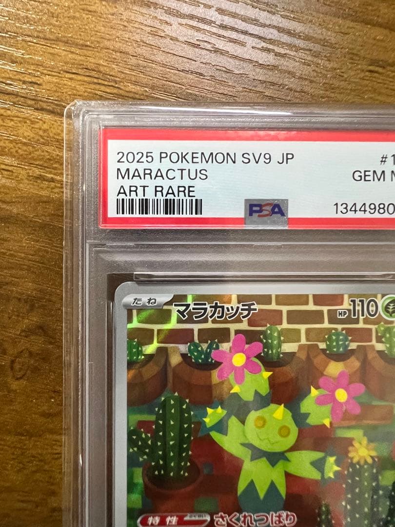 マラカッチ ar psa10