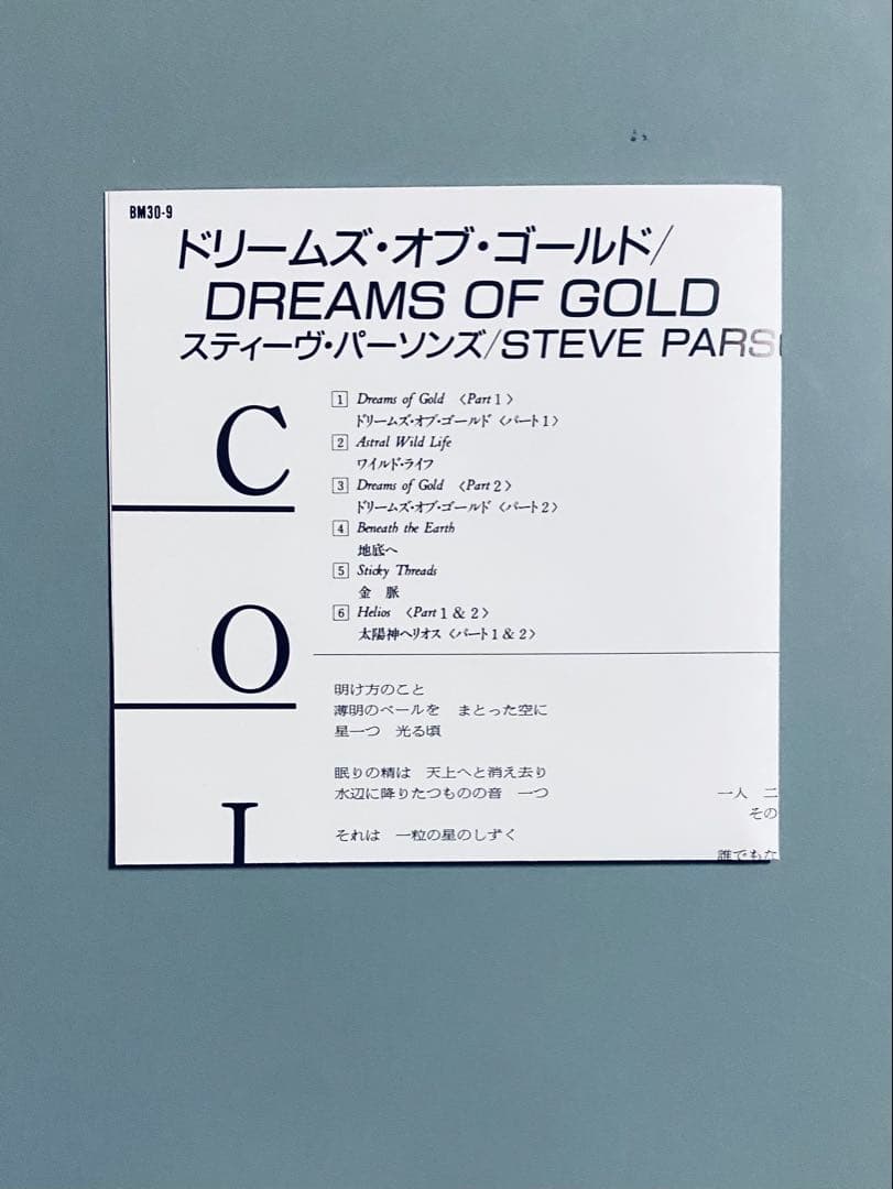 Steve Parsons – Dreams Of Gold 国内盤　レア