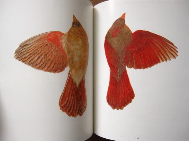 Songbird Carving II　Rosalyn Leach Daisey