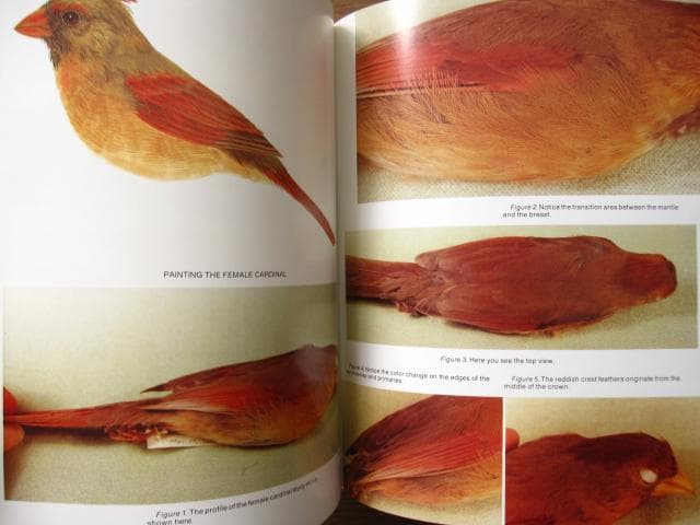Songbird Carving II　Rosalyn Leach Daisey