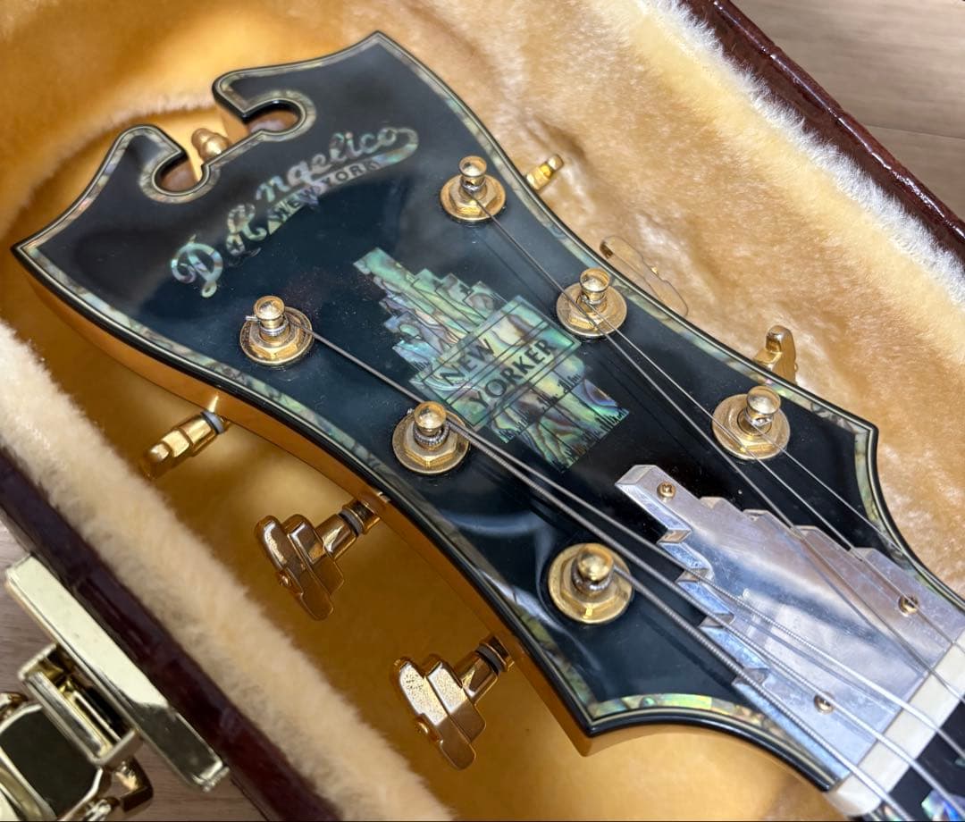D'Angelico ( ディアンジェリコ ) NYL-2 100th 野葡萄