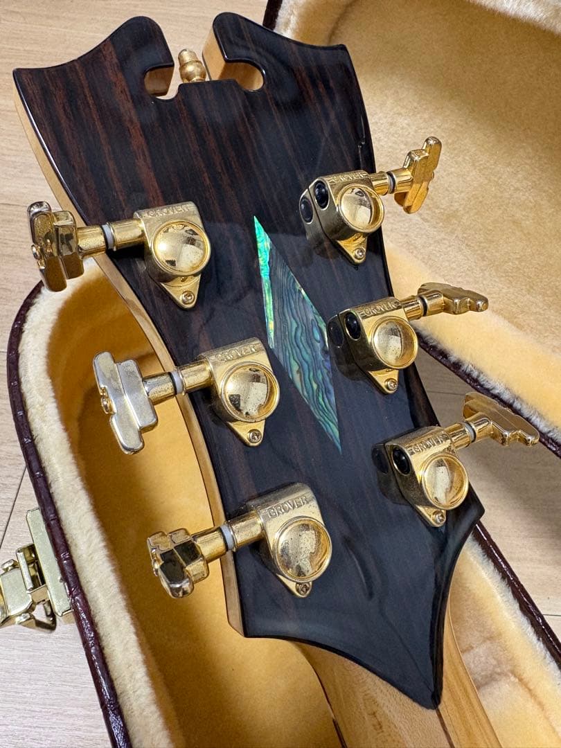 D'Angelico ( ディアンジェリコ ) NYL-2 100th 野葡萄