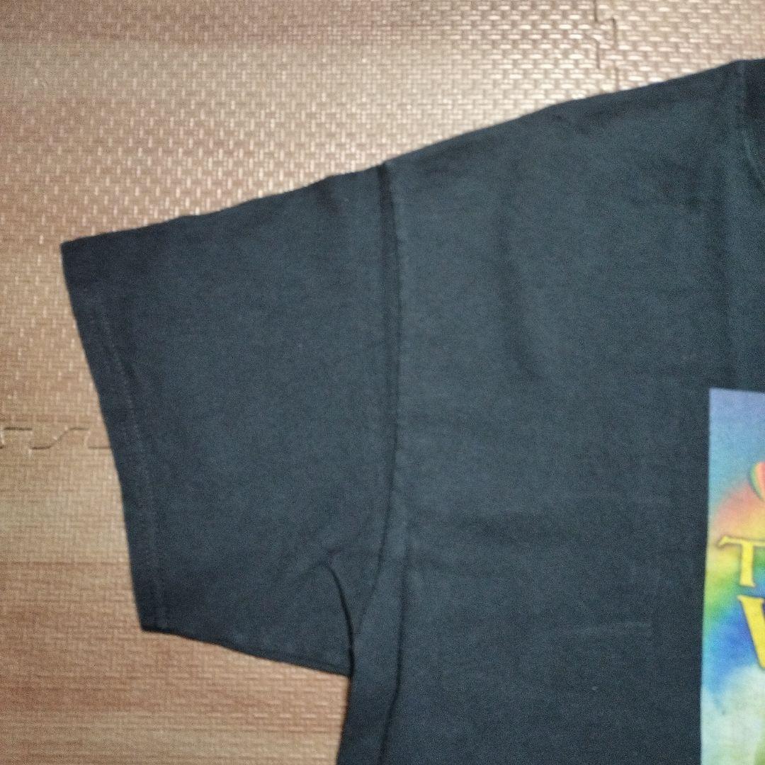 古着　オズの魔法使い　と　フルーツオブザルーム　のTシャツ