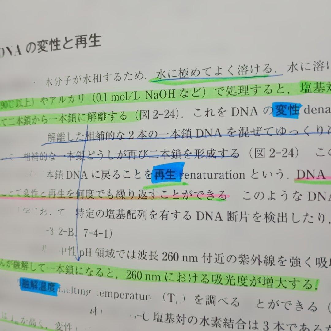 薬学部 テキスト まとめ売り 20冊 セット 国家試験 国試 薬剤師 薬学 医薬