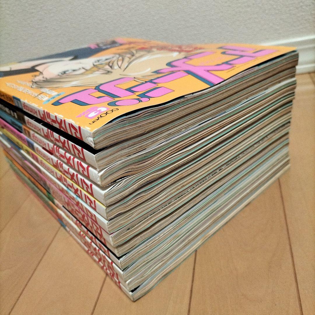 【新品同様】アニメージュ〈12冊セット〉1995年1月号〜12月号　ふろく付き