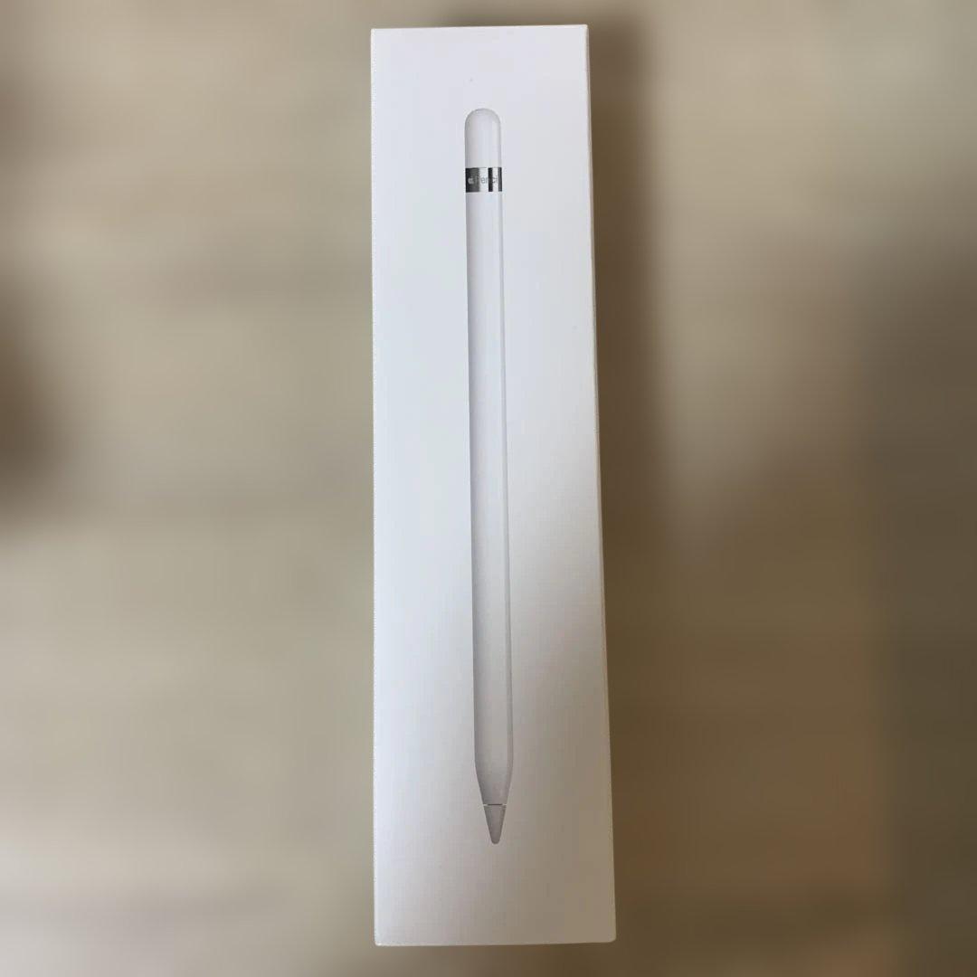 iPad 無印第9世代　256GB 第1世代pencil付き