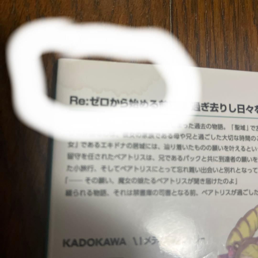 Re:ゼロから始める前日譚 2冊セット