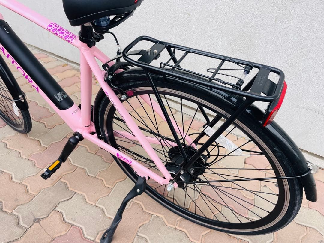 【Hiroshi Ito様商談中】DAITORA 電動アシスト自転車
