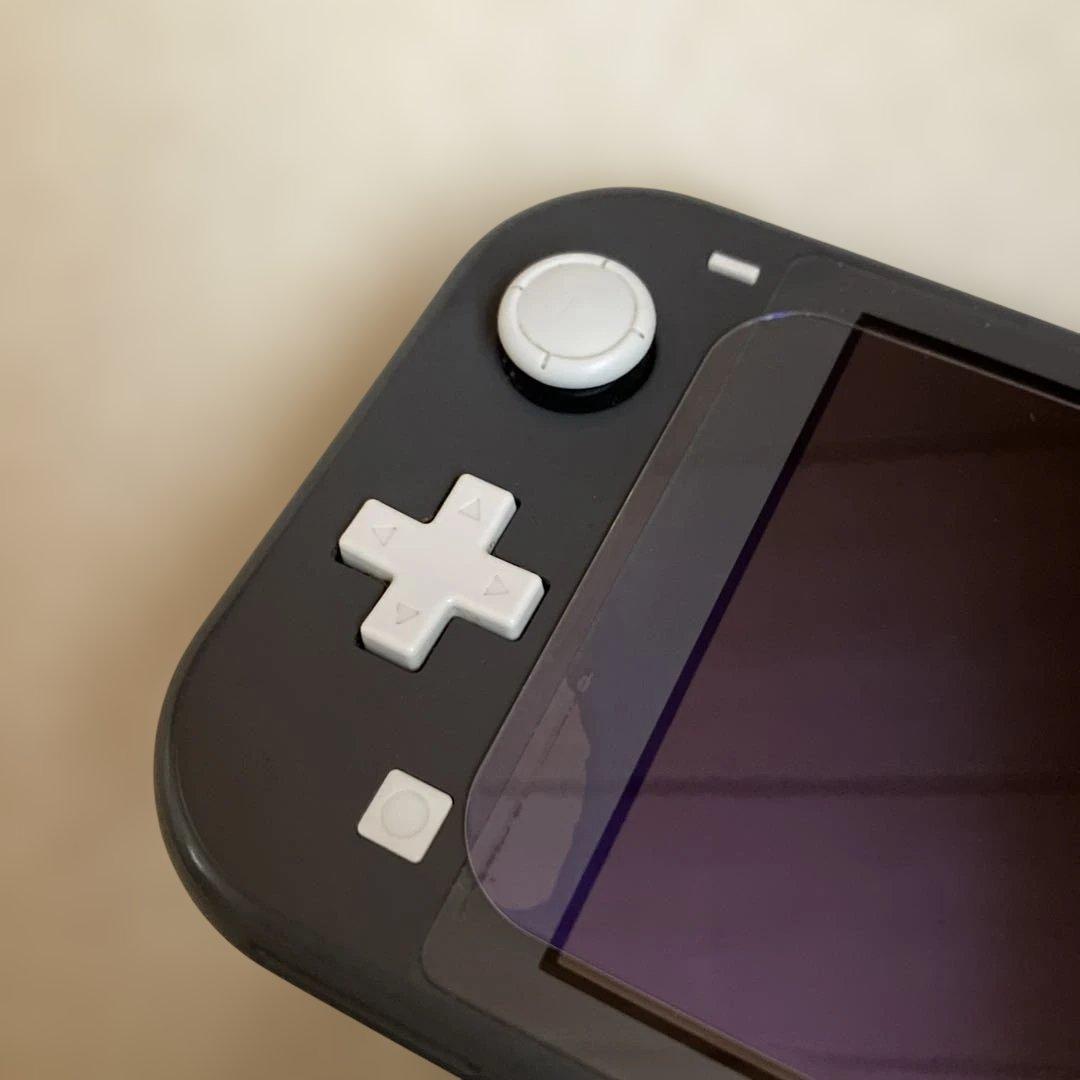 Nintendo Switch lite/gray/任天堂スイッチライト