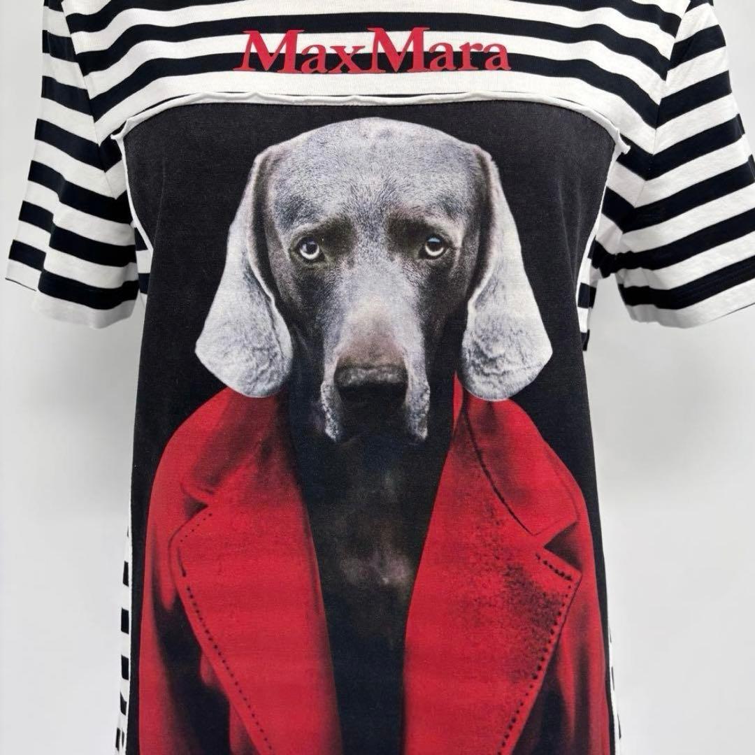美品MaxMara　ROSSO　TシャツドッグXS　VANIGLIA黒白ボーダー