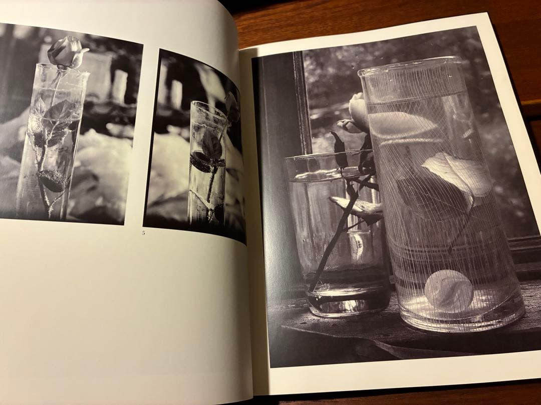 ヨゼフ・スデック Josef Sudek Zatisi Still Lifes