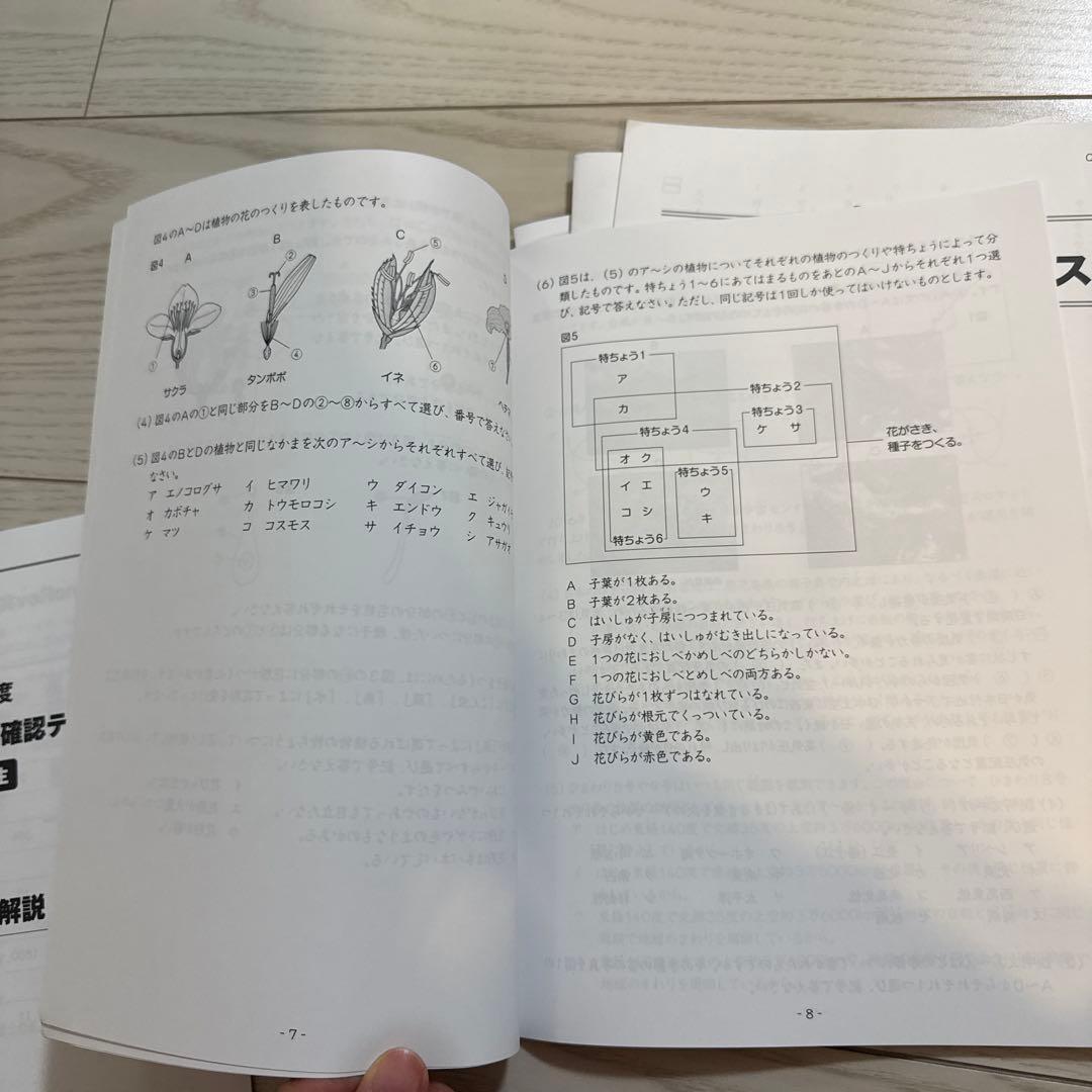 グノレブ5年GnoRev 実力確認テスト 1年分　10冊セット