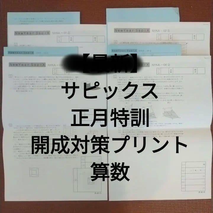 SAPIXサピックス　正月特訓　開成中学対策プリント