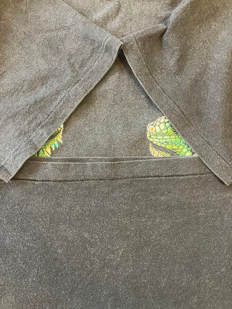 90s USA製 San Diego Zoo イグアナ アート Tシャツ