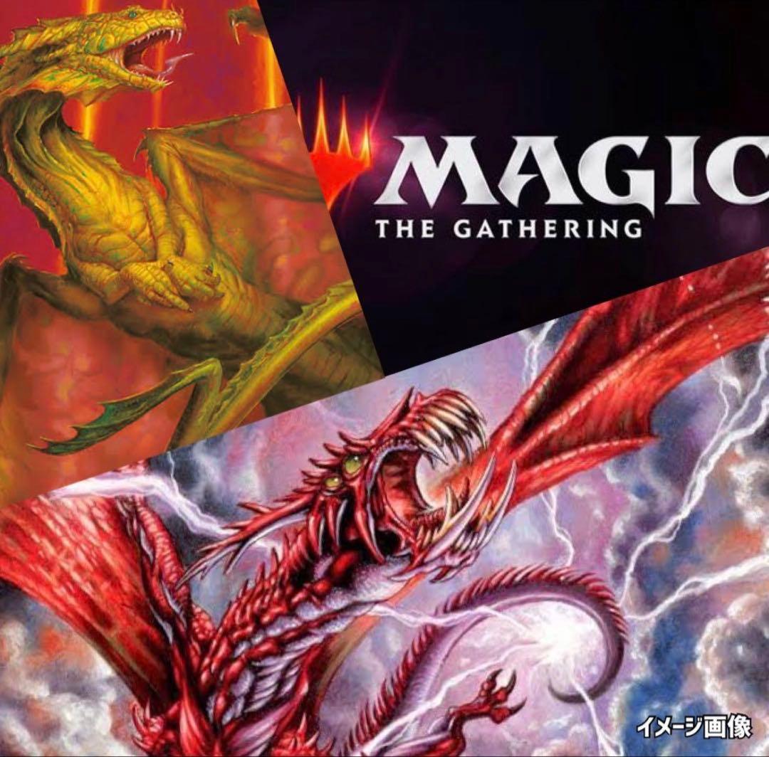 ホームランドLANDS《MTG未開封1BOX》マジックザギャザリング
