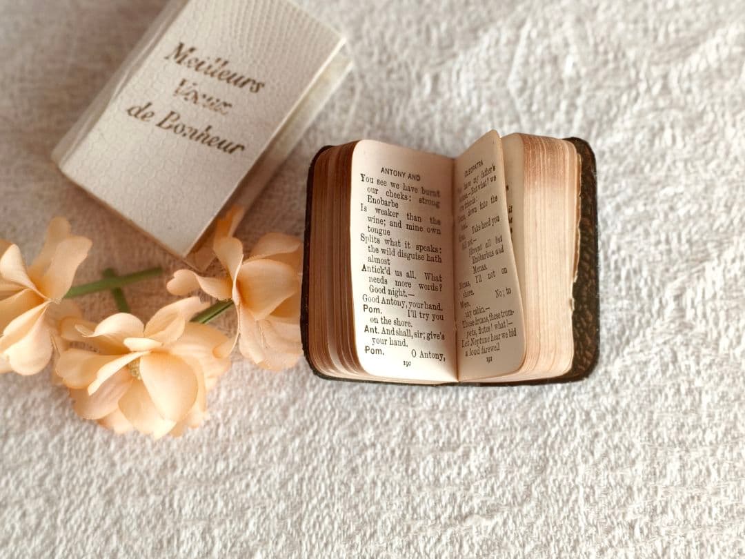 * antique mini book ❀ ミニブック シェイクスピア 豆本