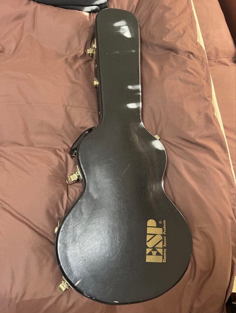 ESP Potbelly エレキギター　カスタム　注文時48万　ケース付　国産