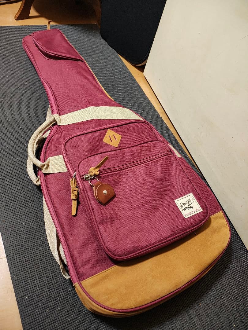 Epiphone Les Paulゴールドトップ /美品 ギグバック付