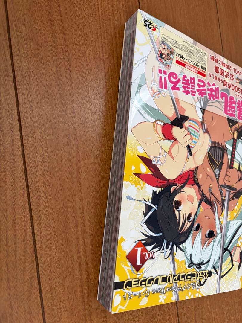 閃乱カグラ NewWave Gバースト 公式ビジュアルコレクション VOL.1