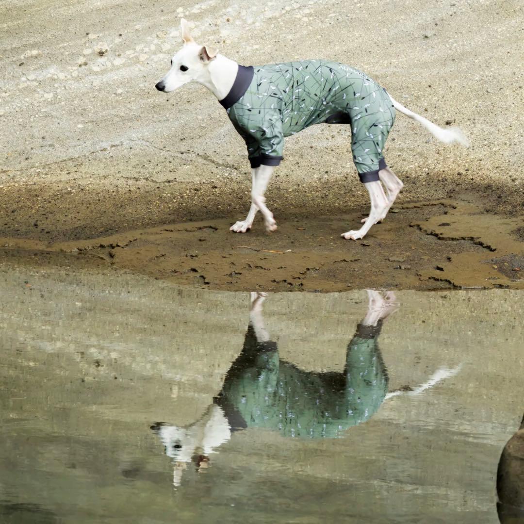 FULL DOG GUARD フルドッグガード MOSSY