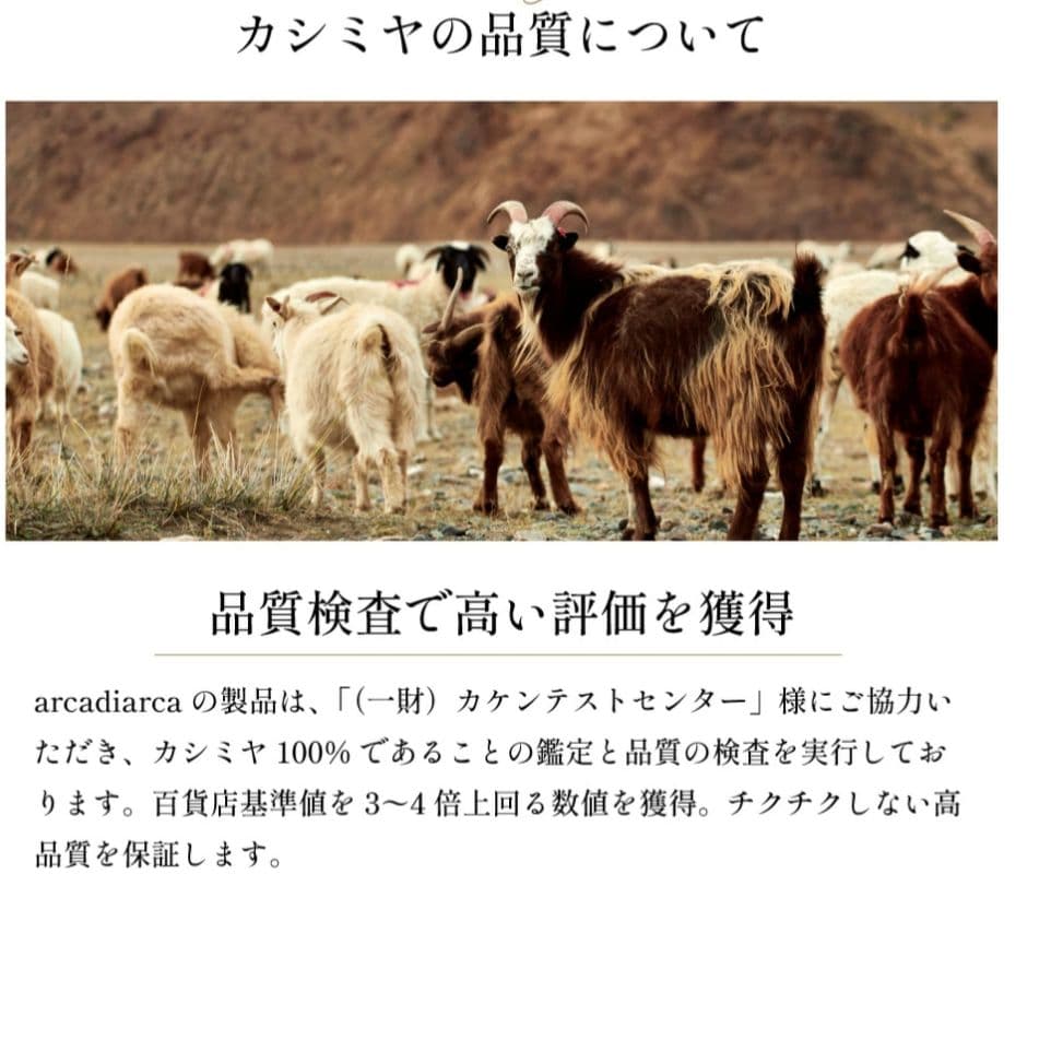 試着のみ　arcadiarca　カシミヤ100％ 大判ストール　アイボリー
